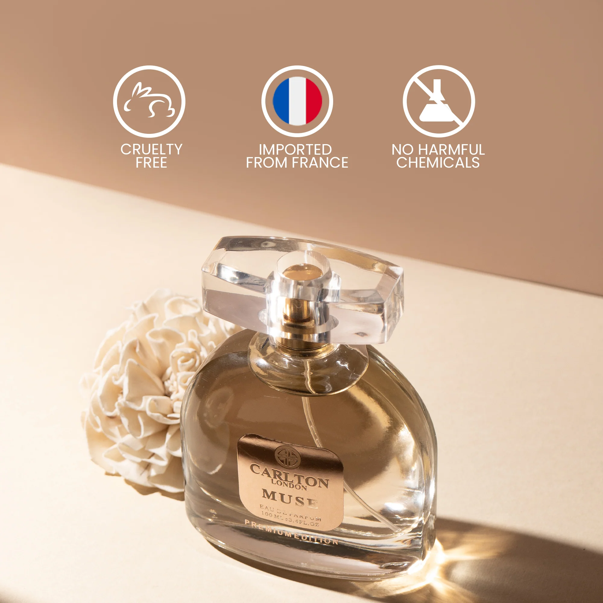 MUSE WOMEN PERFUME - Image 6